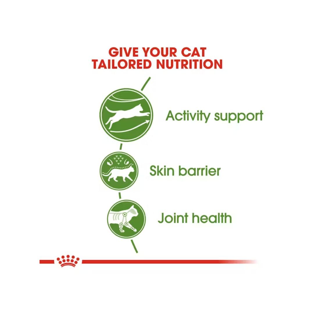 ROYAL CANIN Outdoor - Hrana za odrasle mačke koje provode mnogo vremena napolju, 2kg - Слика 3