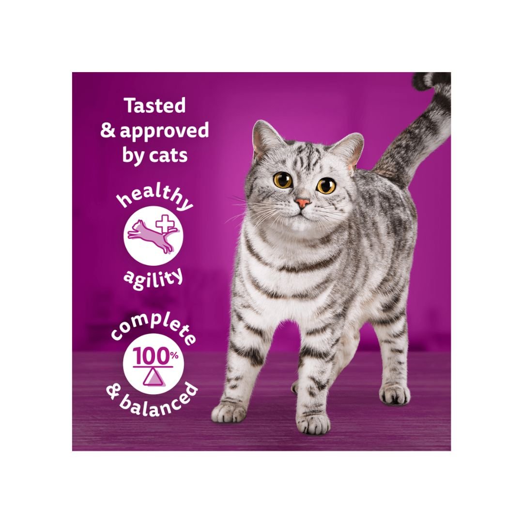 WHISKAS - Hrana za odrasle mačke u sosu, Losos 85gr - Слика 3