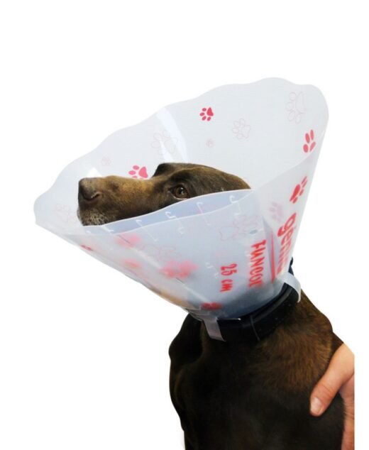 GENIA Funcol - Kragna za pse